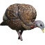 Avian X Lcd Feeder Hen Decoy -