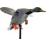 Mojo King Mallard Drake Decoy -
